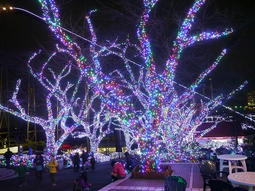 夜の遊園地