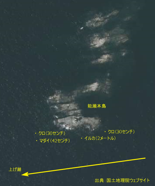 能瀬本島ポイント