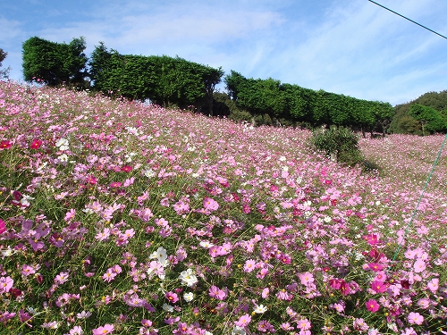 大村_野岳湖