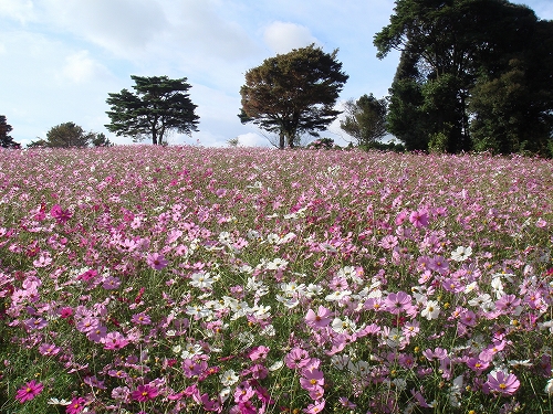 大村_野岳湖