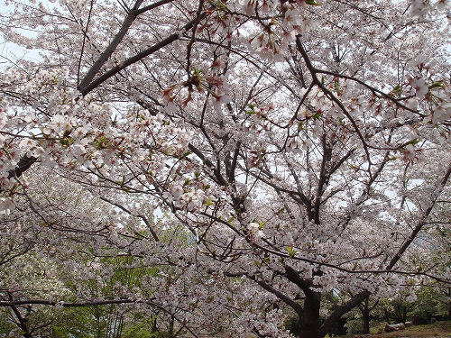 四本堂公園