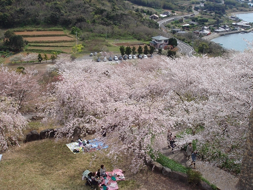 四本堂公園