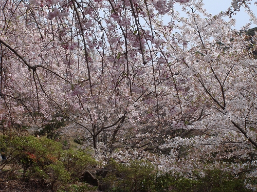 四本堂公園