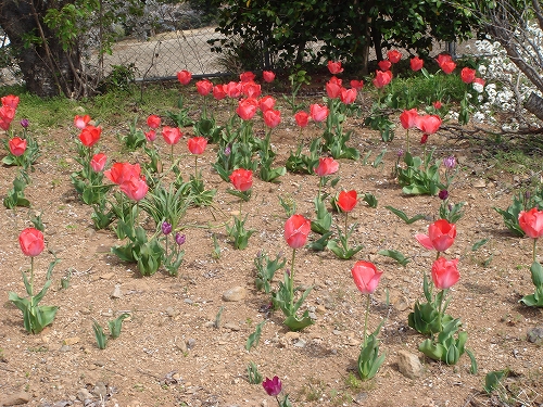 四本堂公園